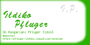 ildiko pfluger business card